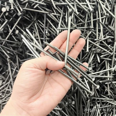 1Inch 2Inch Galvanized Iron Common Nail Wood Nail Smooth Fluted Spiral Shank Types Diamond Point Carbon Steel Cap Construction