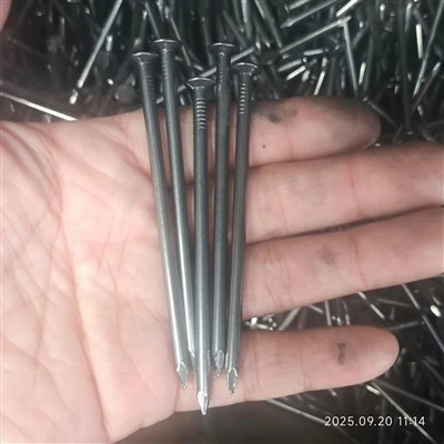 2.5 Inch 3 Inch 4 Inch Q195 Steel Wire Rod Smooth Shank Flat Head Common Nails For Wood Construction