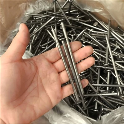 2.5 Inch DIN Common Galvanized Steel Iron Nails Variety Types-Smooth Barbed Fluted Ring Spiral Checkered Free Carton