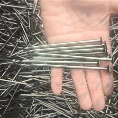 2 Inch Steel Common Nail Q195 Q235 Smooth Shank Flat Head Construction Material For Construction Xiangtai Brand