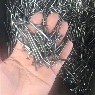 3 Inch 4 Inch Q195 Steel Wire Rod Smooth Shank Flat Head Common Nails For Wood Construction