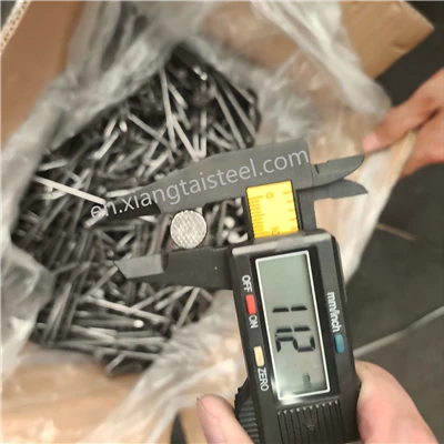 6 Inch Galvanized Iron Common Nail Smooth Shank Type For Construction Manufactured From Steel And Plastic Carton Packed