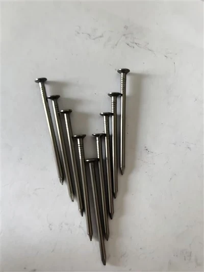 600mmWire Nails
