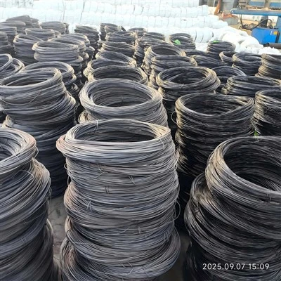 Black Annealed Iron Wire in Welded Form For Various Wire Mesh Applications