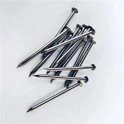 Common Wire Nail