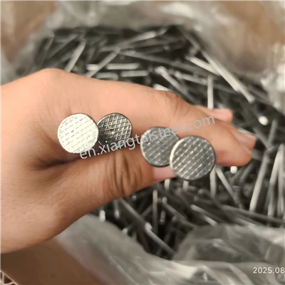 Din Common Galvanized Iron Nails Various Types-Smooth Barbed Fluted Ring-Made Carbon Steel Construction Wood Manufactured Carton