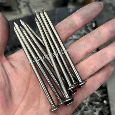 High Quality 5 Inch Low Carbon Steel Wire Nails Smooth Common Nail From Factory in China
